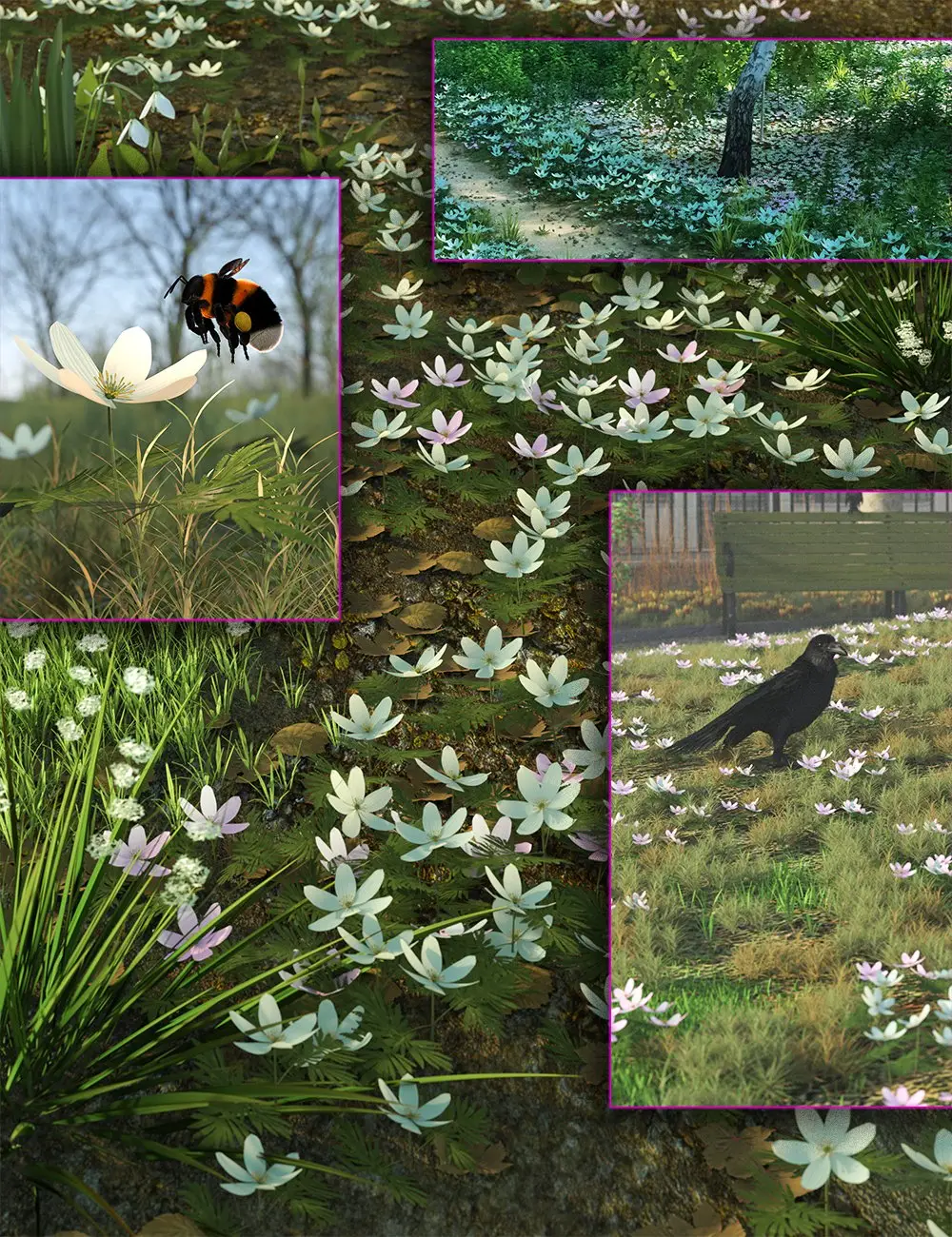 Spring Flowers – Wood Anenome [Daz Originals / Martinjfrost]
